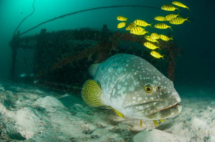 Mabul Kapalai Scuba Diving Sabah Malaysia 5