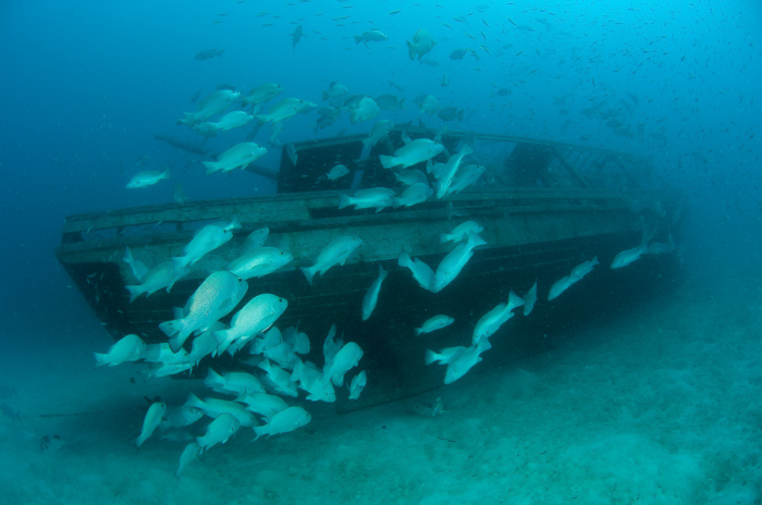Mabul Kapalai Scuba Diving Sabah Malaysia 6