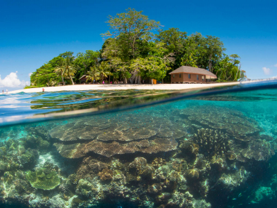 Sipadan Sabah Malaysia Diving Drop Off