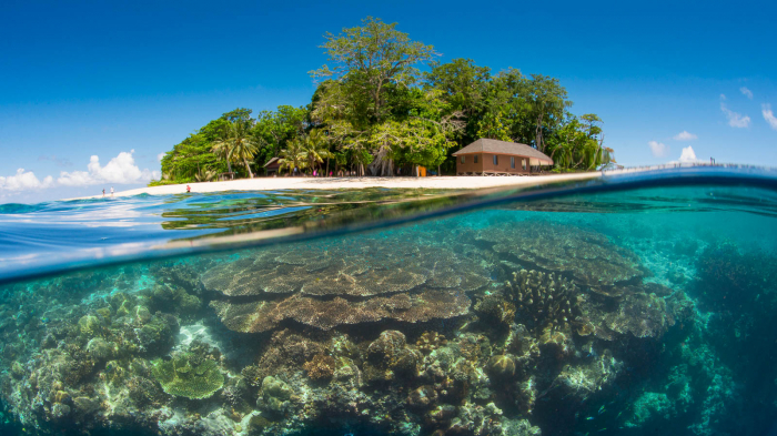 Sipadan Sabah Malaysia Diving Drop Off