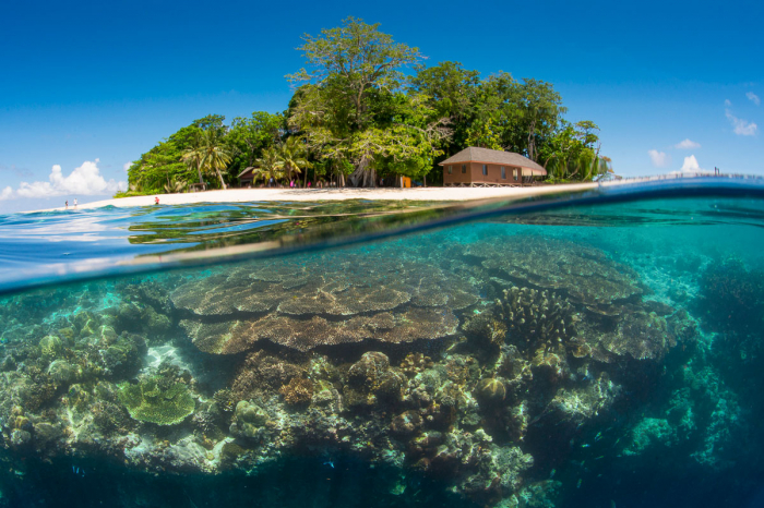 Sipadan Sabah Malaysia Diving