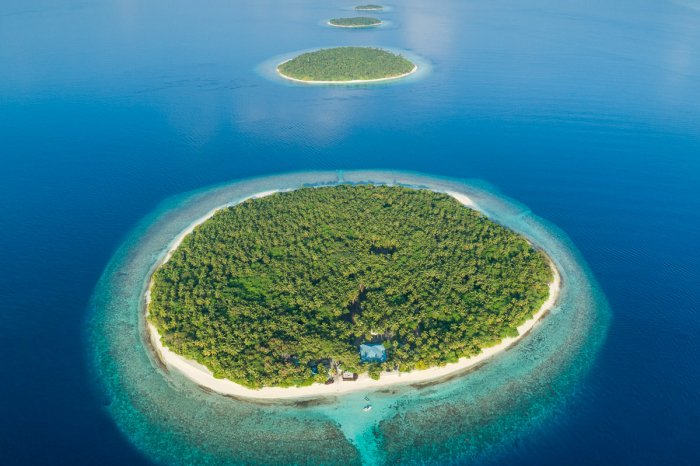 Baa Atoll Hanifaru Bay Maldives 7
