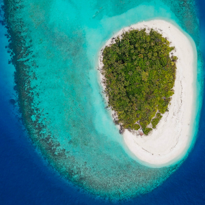 Baa Atoll Hanifaru Bay Maldives 9