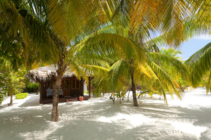 Filitheyo Island Resort 37