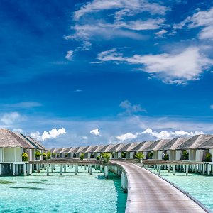 Maldives Scuba Diving Banner