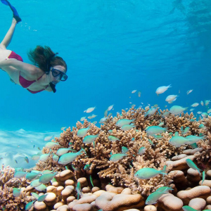 Diving Maldives Budget Banner