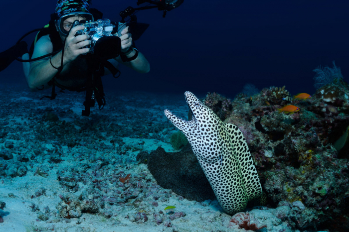 Huvadhoo Atoll Scuba Diving Maldives 6