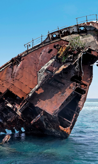 Maldives Lhaviyani Atoll Shipyard Diving Portrait