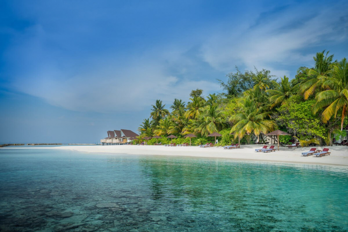 Ellaidhoo Cinnamon 23