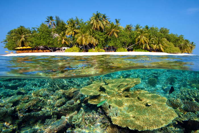 North Male Maldives Scuba Diving 2