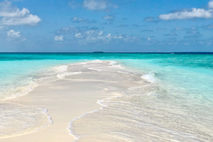 Canopus Retreats Thulusdhoo North Male Maldives 5