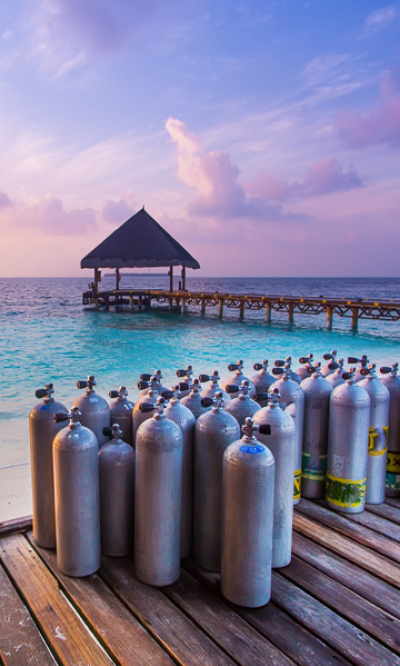 Raa Atoll Scuba Diving Maldives Portrait