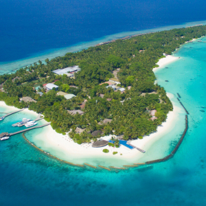 maldives shark tour Kurmathi Resort Banner 1
