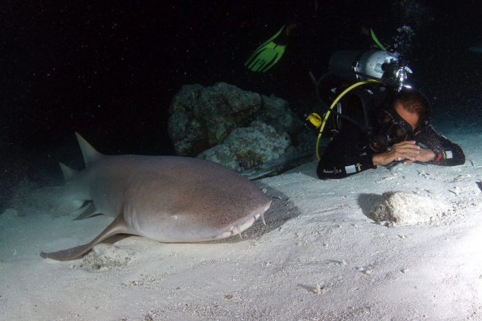 Rasdhoo Dive Lodge03