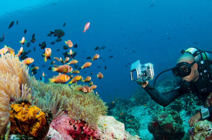 Maldives South Ari Dhonkan Thila