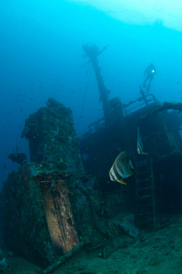 Maldives South Ari Machachafushi Wreck 2