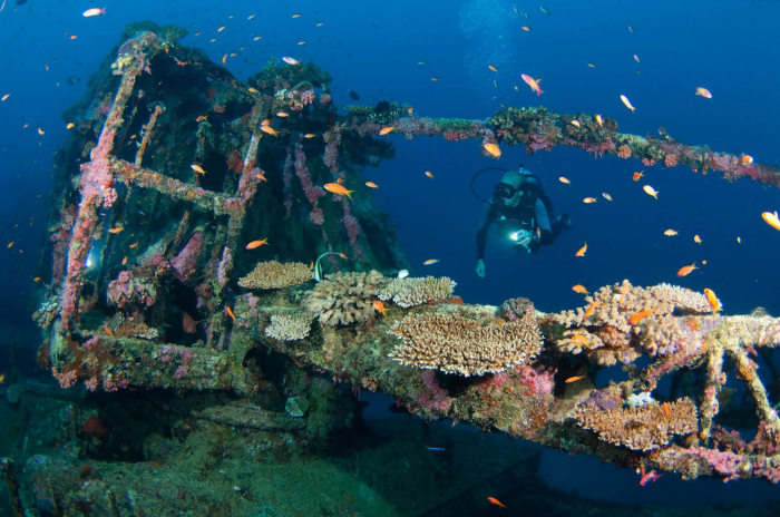 Maldives South Ari Machachafushi Wreck