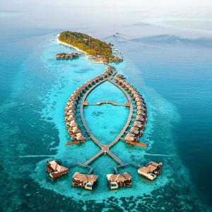 Lily Beach South Ari Maldives 5