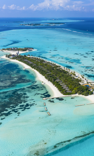 South Male Atoll Scuba Diving Maldives Portrait
