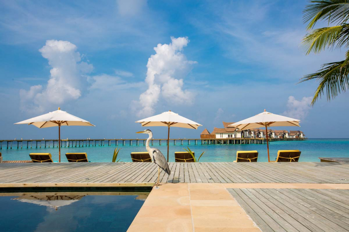 Ozen Reserve Bolifushi 21