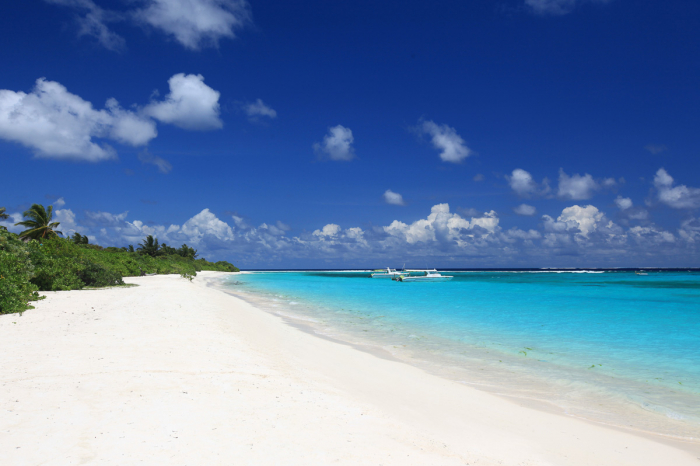 Laamu Atoll Maldives Scuba Diving 8