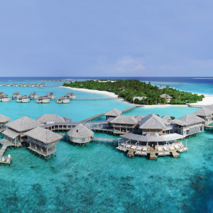 maldives shark tour Six Senses Laamu Maldives 7
