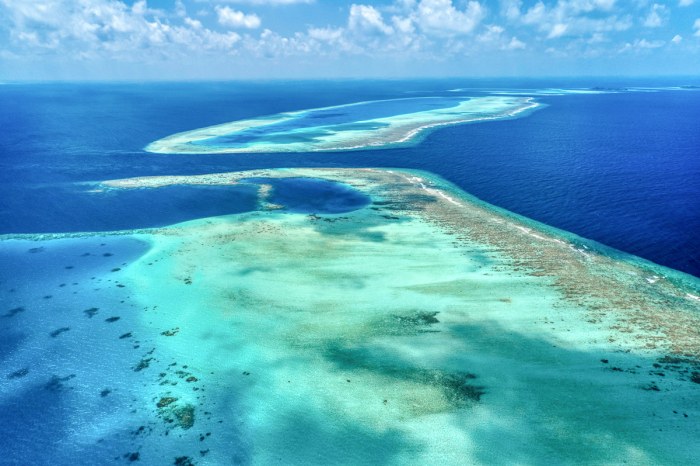 Vaavu Atoll Maldives Scuba Diving 8