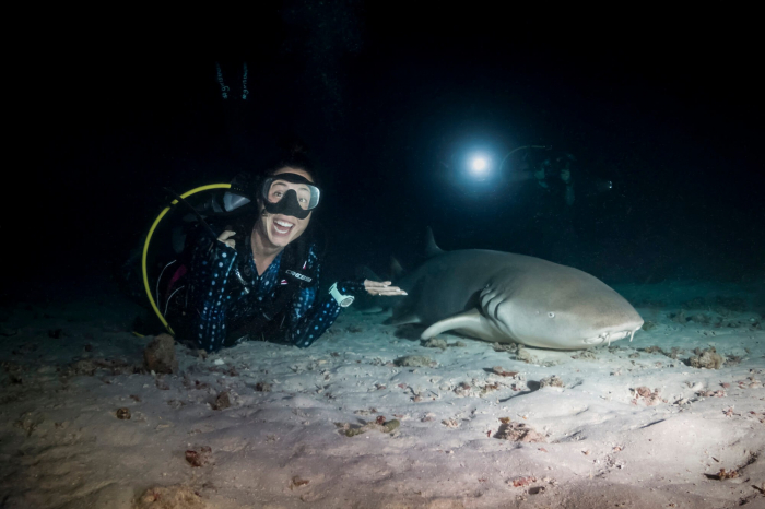 Vaavu Alimatha Night Dive