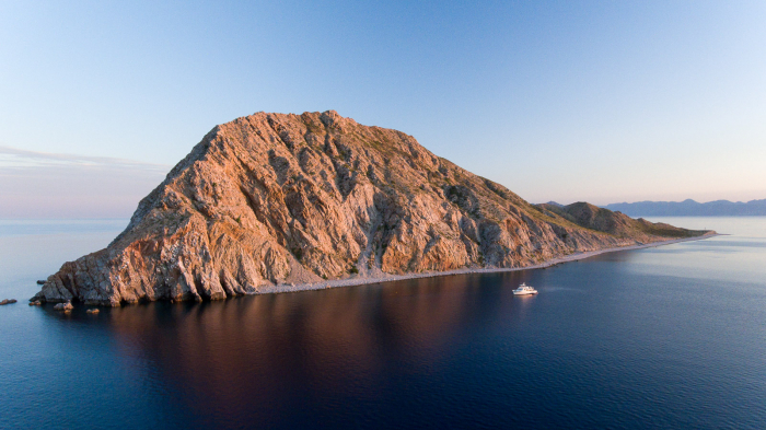 Baja California Diving Banner