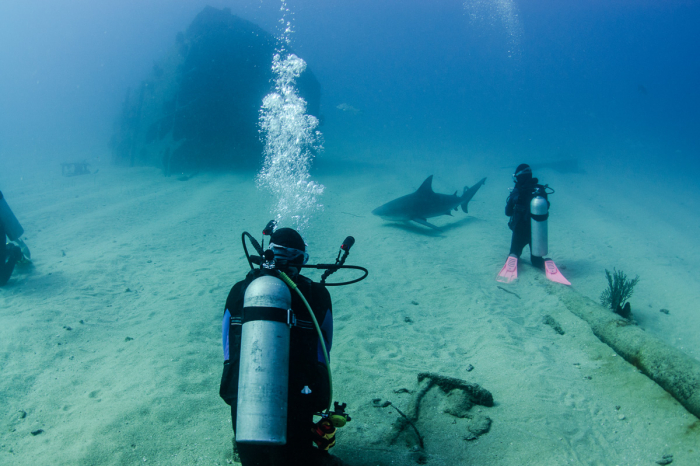 Cabo Pulmo Diving Mexico 3