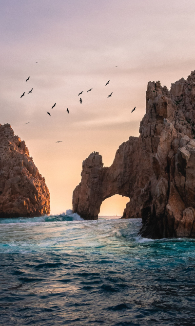 Cabo San Lucas Mexico Portrait