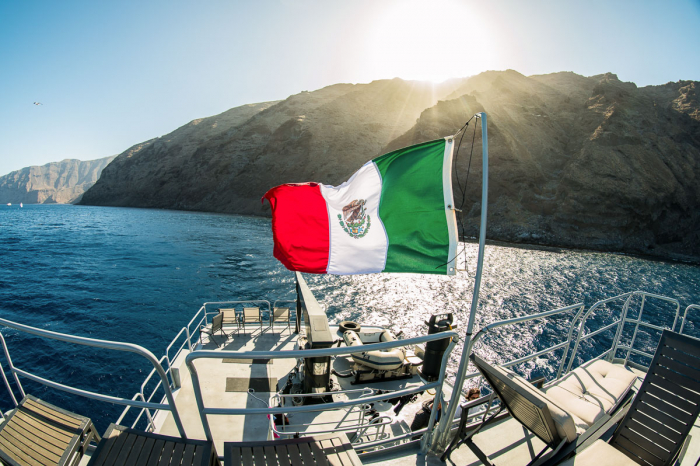 Guadalupe Island Mexico Diving Shark 2