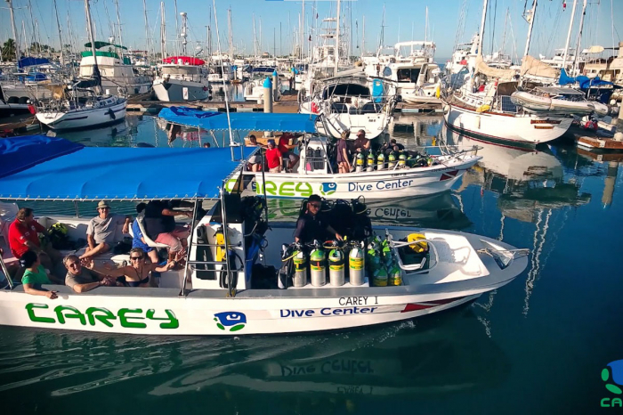 Buceo Carey La Paz Mexico 3