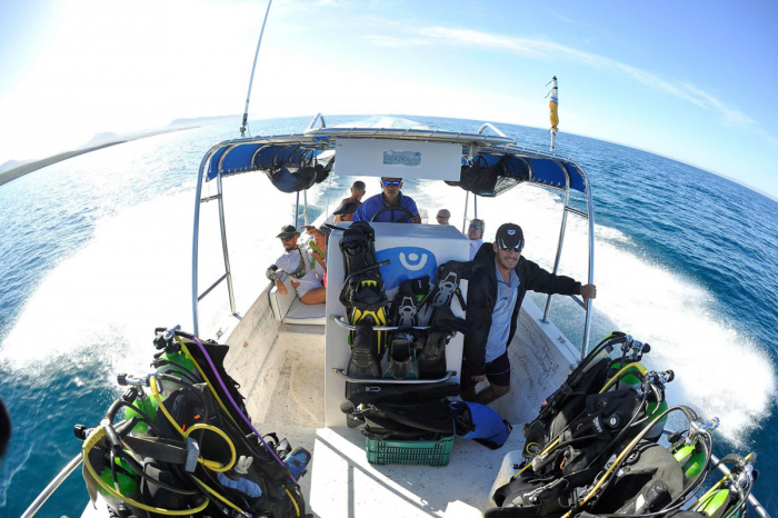 Buceo Carey La Paz Mexico 17