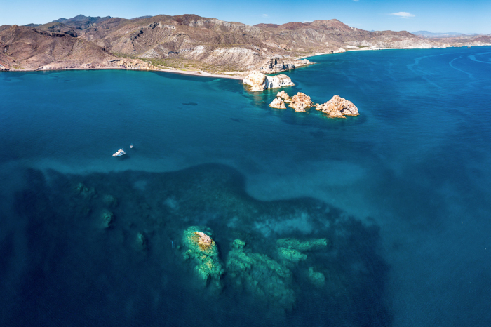 Sea Cortez Mexico Diving