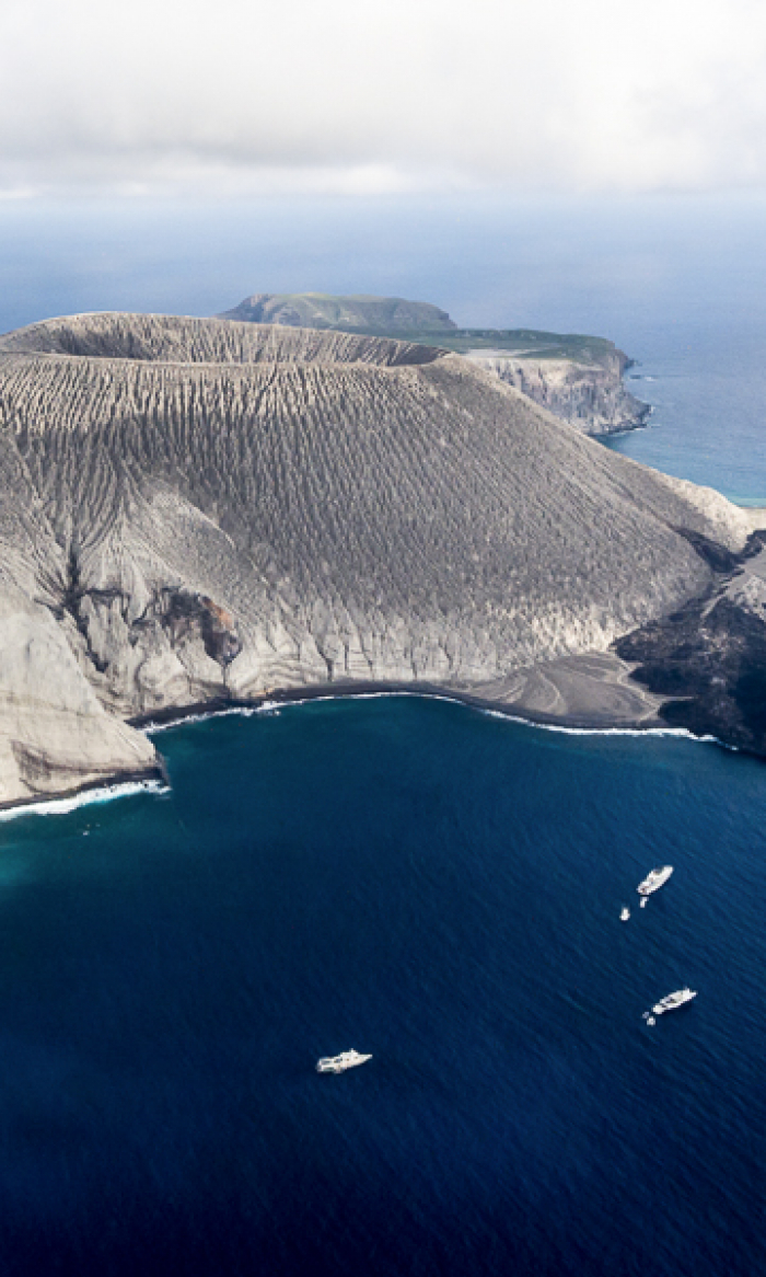 Socorro Islands Revillagigedo Portrait