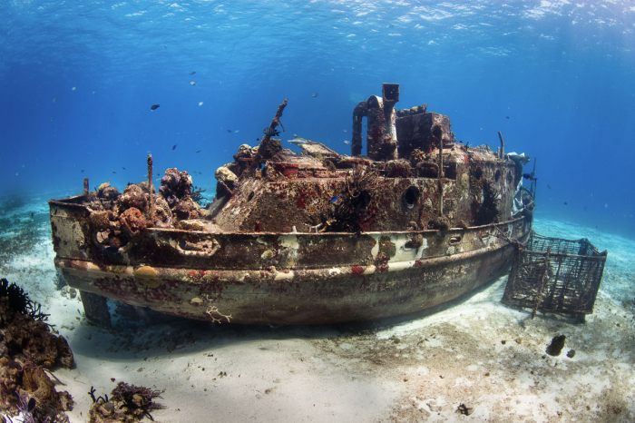 Cozumel Playa Del Carmen Scuba Diving Mexico 8