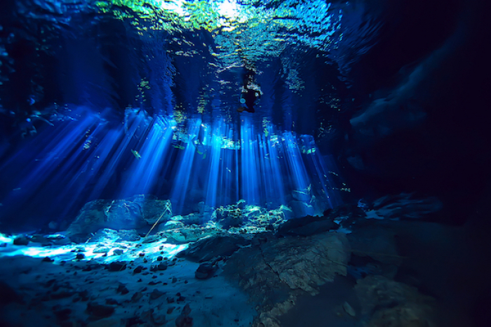 Tulum Cenote Diving