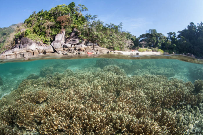 Mergui Archipelago Zublu
