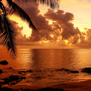 Fiji Scuba Diving Fiji Banner