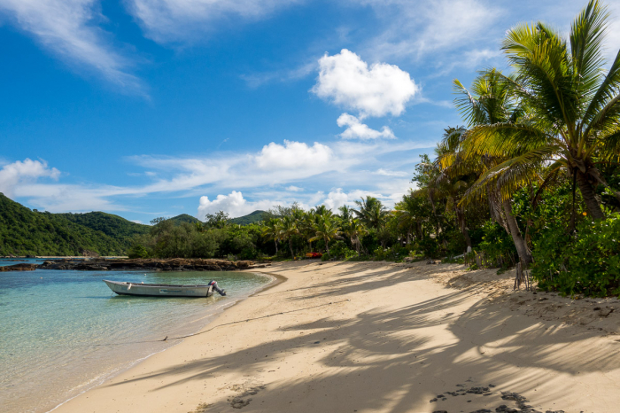 Barefoot Manta Fiji Diving 2