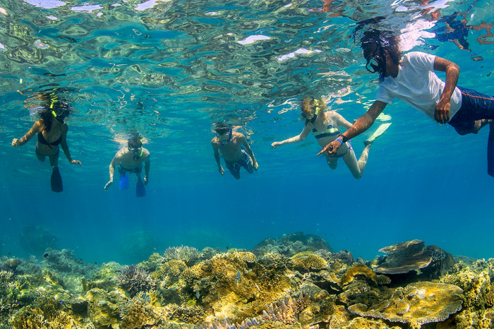 Barefoot Manta Fiji Diving 21