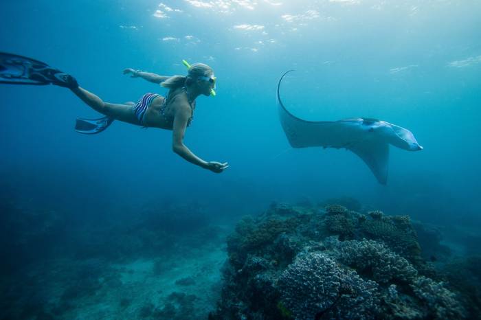 Yasawa Mamanuca Islands Diving Fiji 11