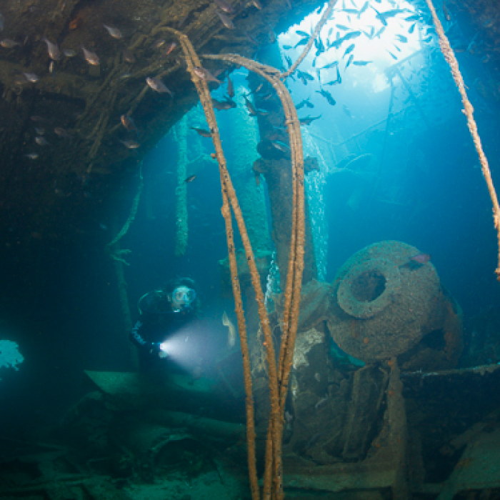 New Zealand Scuba Diving Rainbow Warrior
