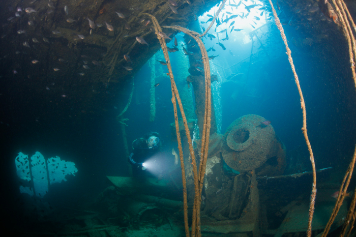 Bay Of Islands New Zealand Scuba Diving 14