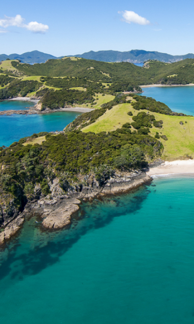 Bay Of Islands New Zealand Scuba Diving Portrait