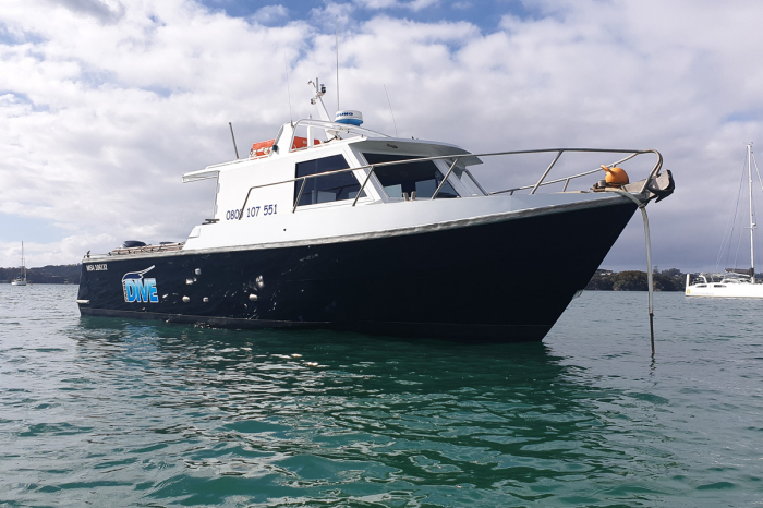 Paihia Dive Bay Of Islands New Zealand 2