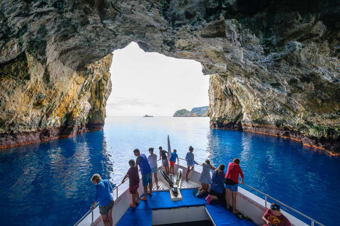 Poor Knights Islands Tutukaka New Zealand Diving 4