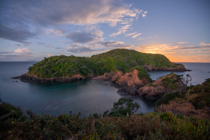Poor Knights Islands Tutukaka New Zealand Diving 9