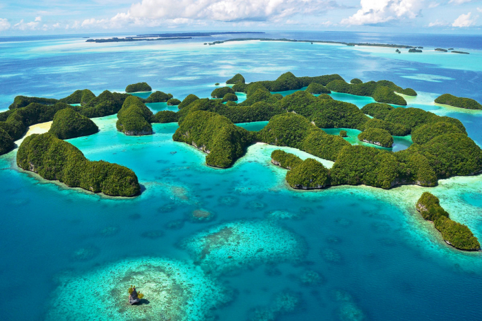 Palau Micronesia Scuba Diving 2